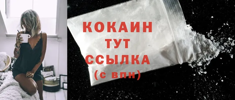 Cocaine FishScale  сколько стоит  Анива 